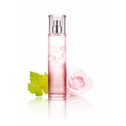 CAUDALIE AGUA REFRESCANTE ROSE DE VIGNE 50 ML