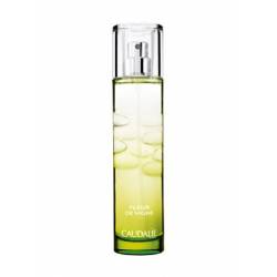 CAUDALIE EAU FRAICHE FLEUR DE VIGNE - 50 ML
