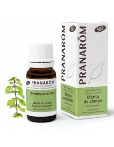 PRANAROM MENTA DE CAMPO 10 ML