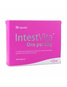 VITAE INTESTVITA ENZYMES  15 CAPSULAS